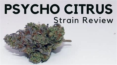 Channel + Marijuana Strain Information & Reviews.